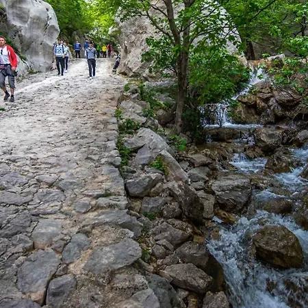 شقة In Starigrad-paklenica 44023 *